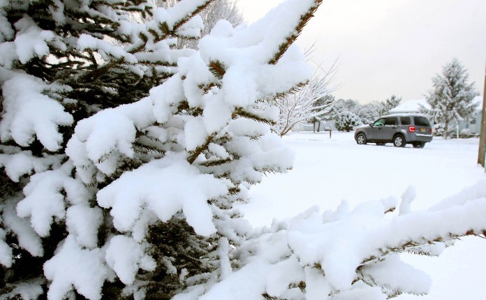 Cape Snow2-3
